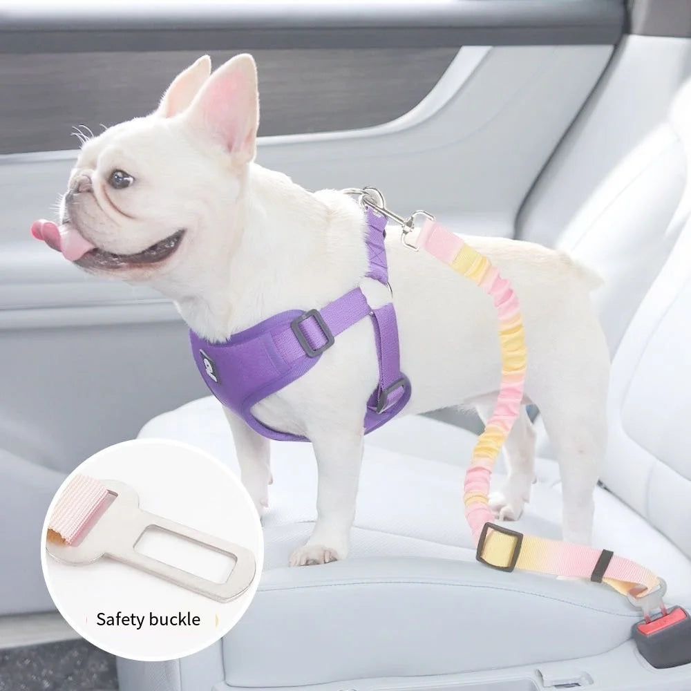 Cinturón de Seguridad para Mascotas para Perros, Artefacto de Asiento de Coche para Cachorros Pequeños y Medianos, Hebilla de Seguridad para Gatos, Suministros para Luchar con Ositos de Peluche