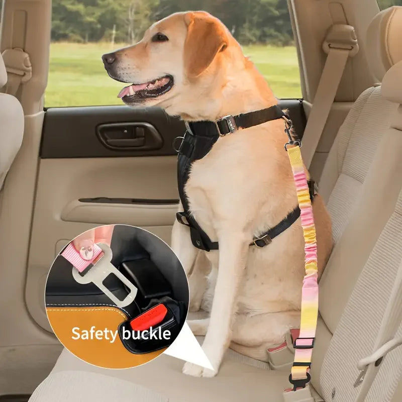 Cinturón de Seguridad para Mascotas para Perros, Artefacto de Asiento de Coche para Cachorros Pequeños y Medianos, Hebilla de Seguridad para Gatos, Suministros para Luchar con Ositos de Peluche